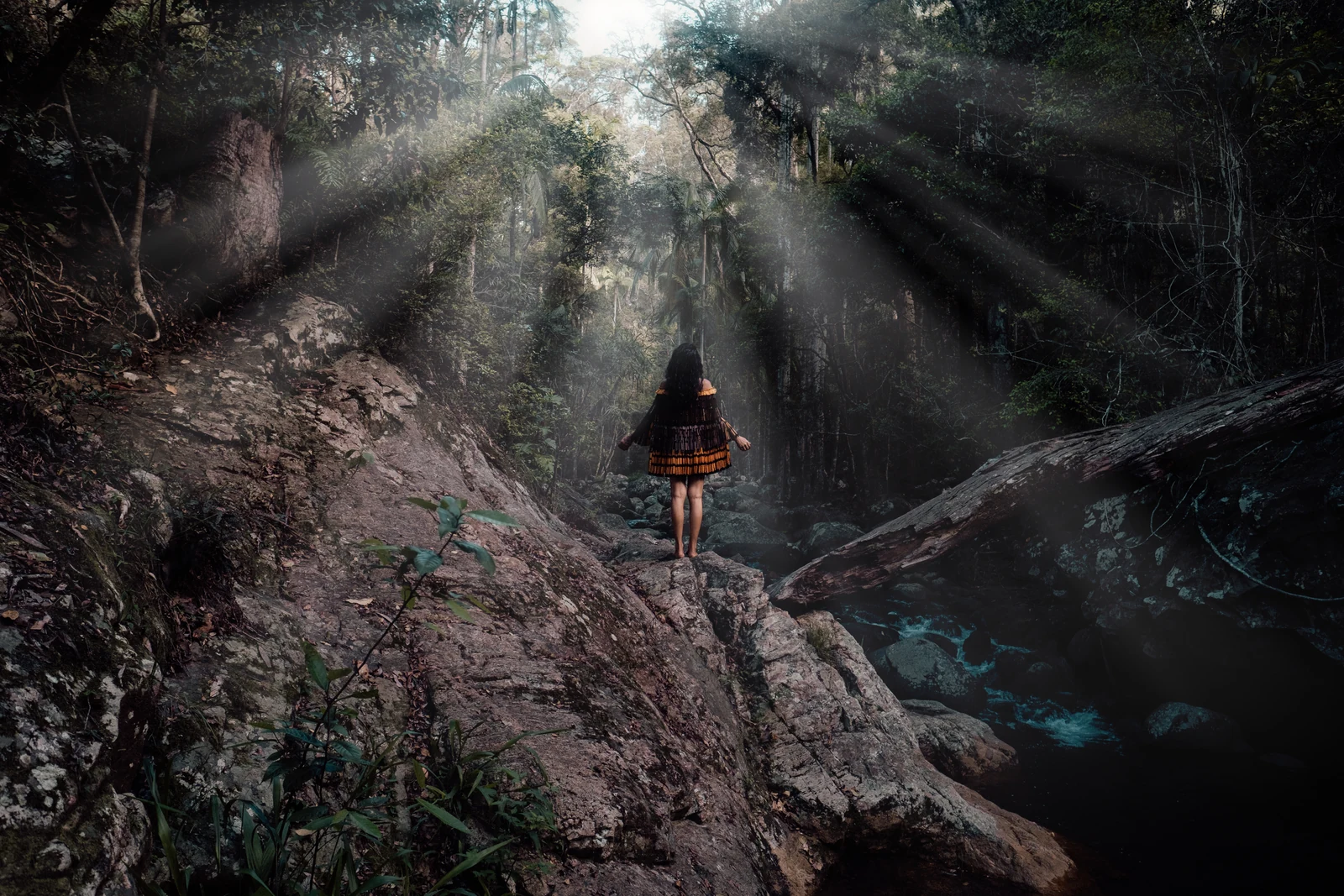 Pake standing on forest rocks beneath shafts of sunlight
